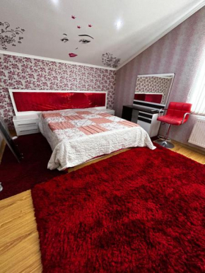 Apartament cu o camera Buiucani